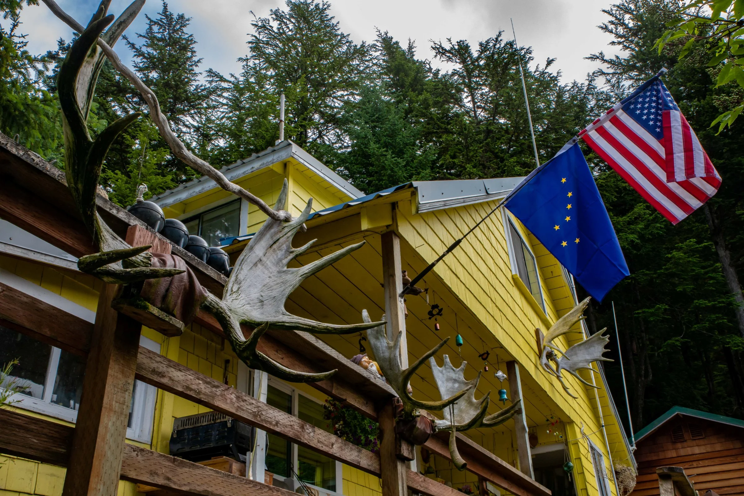 Alaska,Cruise,Chicagof Is,Elfin Cove,-141a.JPG