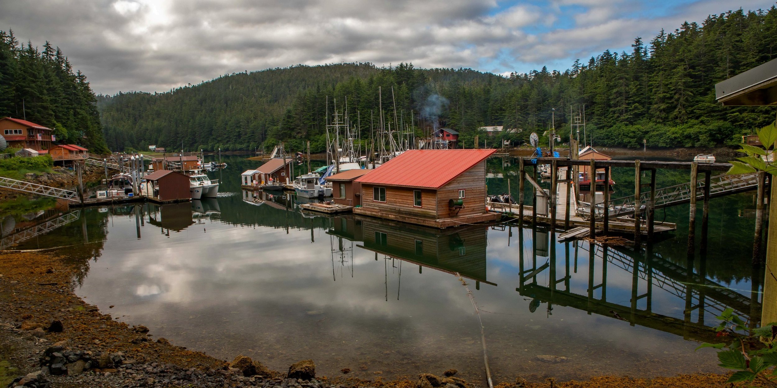 Alaska,Cruise,Chicagof Is,Elfin Cove,-142a.JPG