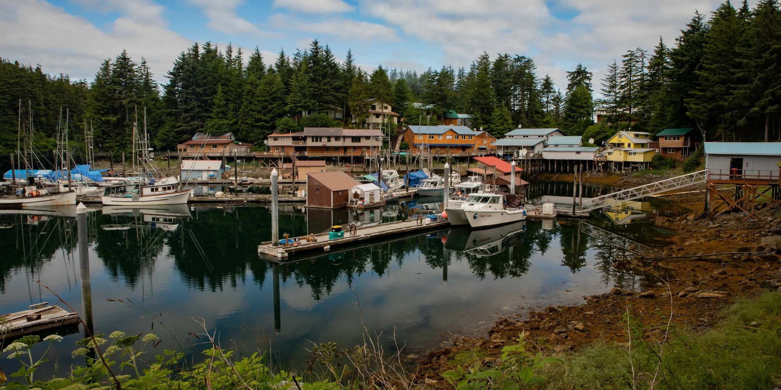 Alaska,Cruise,Chicagof Is,Elfin Cove,-150a.JPG