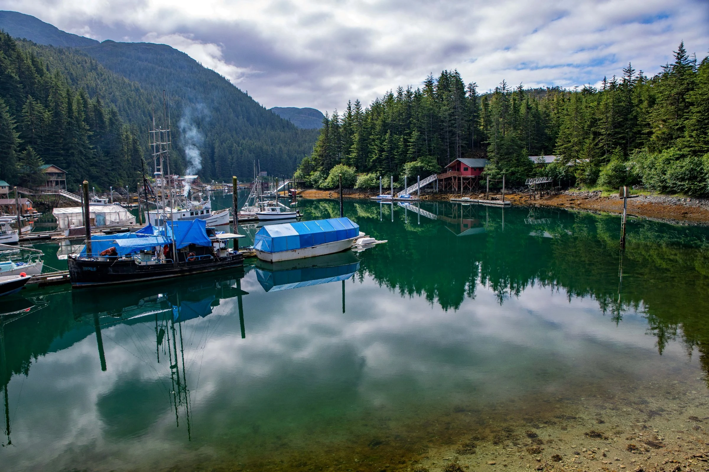 Alaska,Cruise,Chicagof Is,Elfin Cove,-171a.JPG