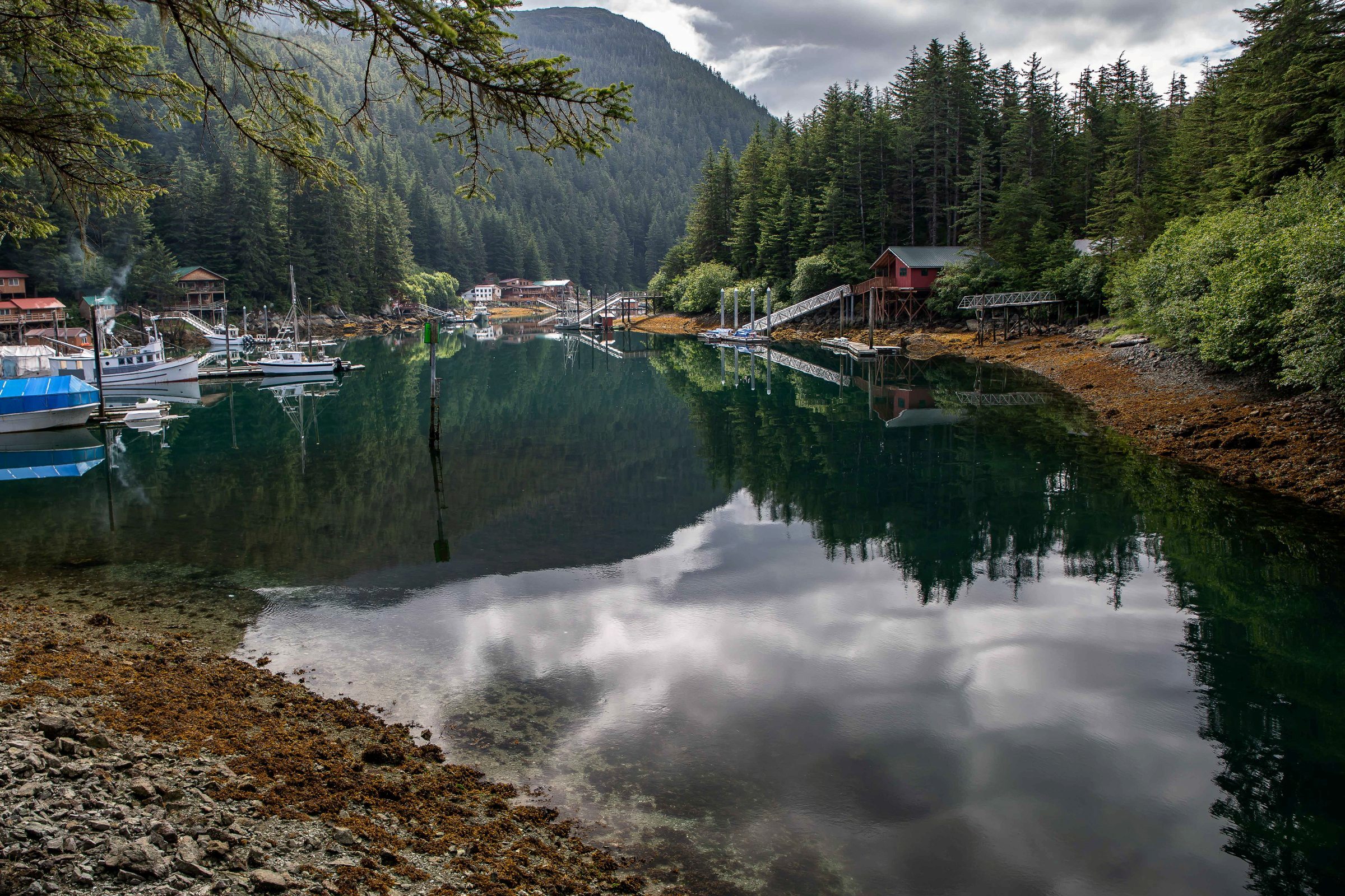 Alaska,Cruise,Chicagof Is,Elfin Cove,-172a.JPG