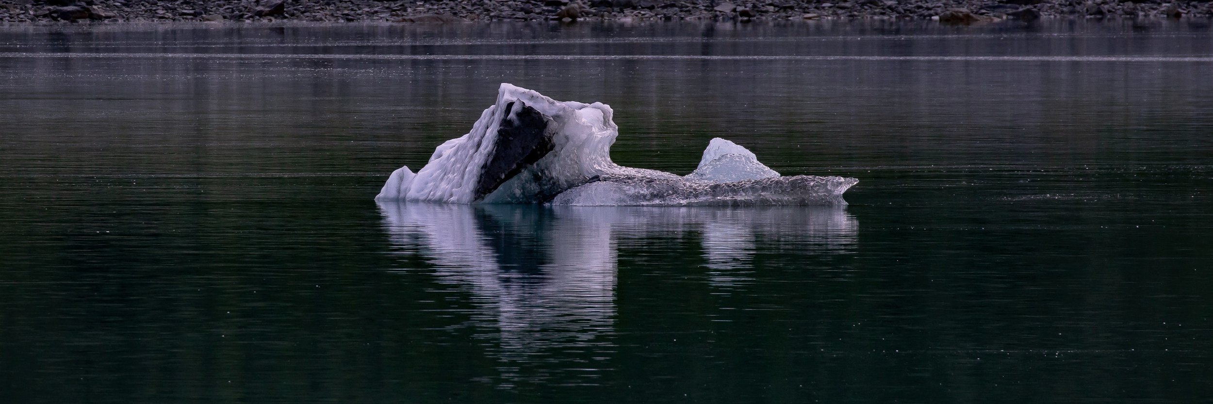 Alaska,Cruise,Glacier Bay,-243.JPG