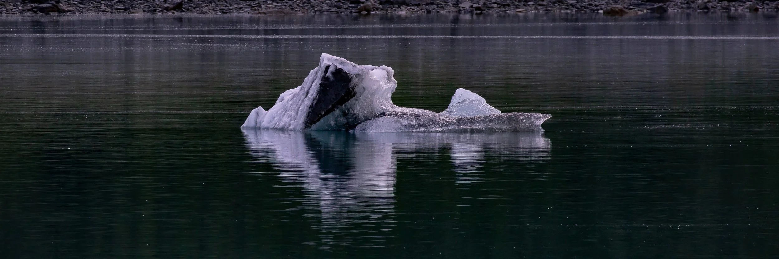 Alaska,Cruise,Glacier Bay,-243.JPG