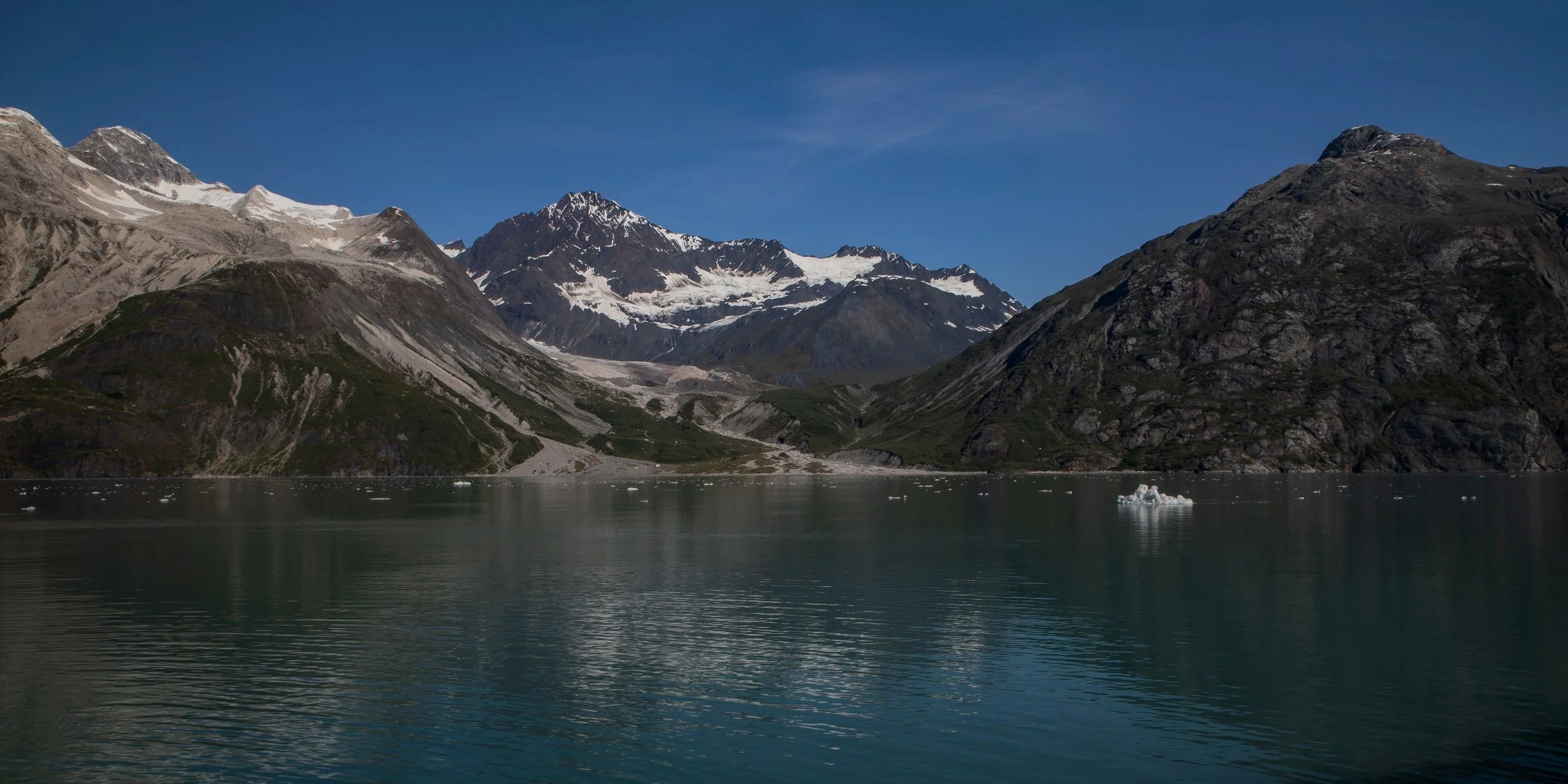 Alaska,Cruise,Glacier Bay,-245a.JPG