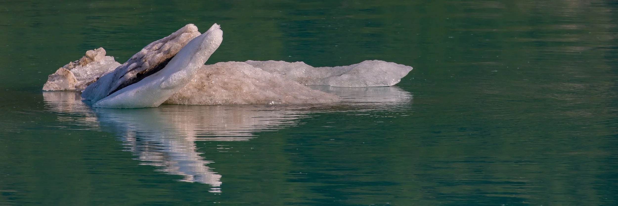 Alaska,Cruise,Glacier Bay,-287.JPG