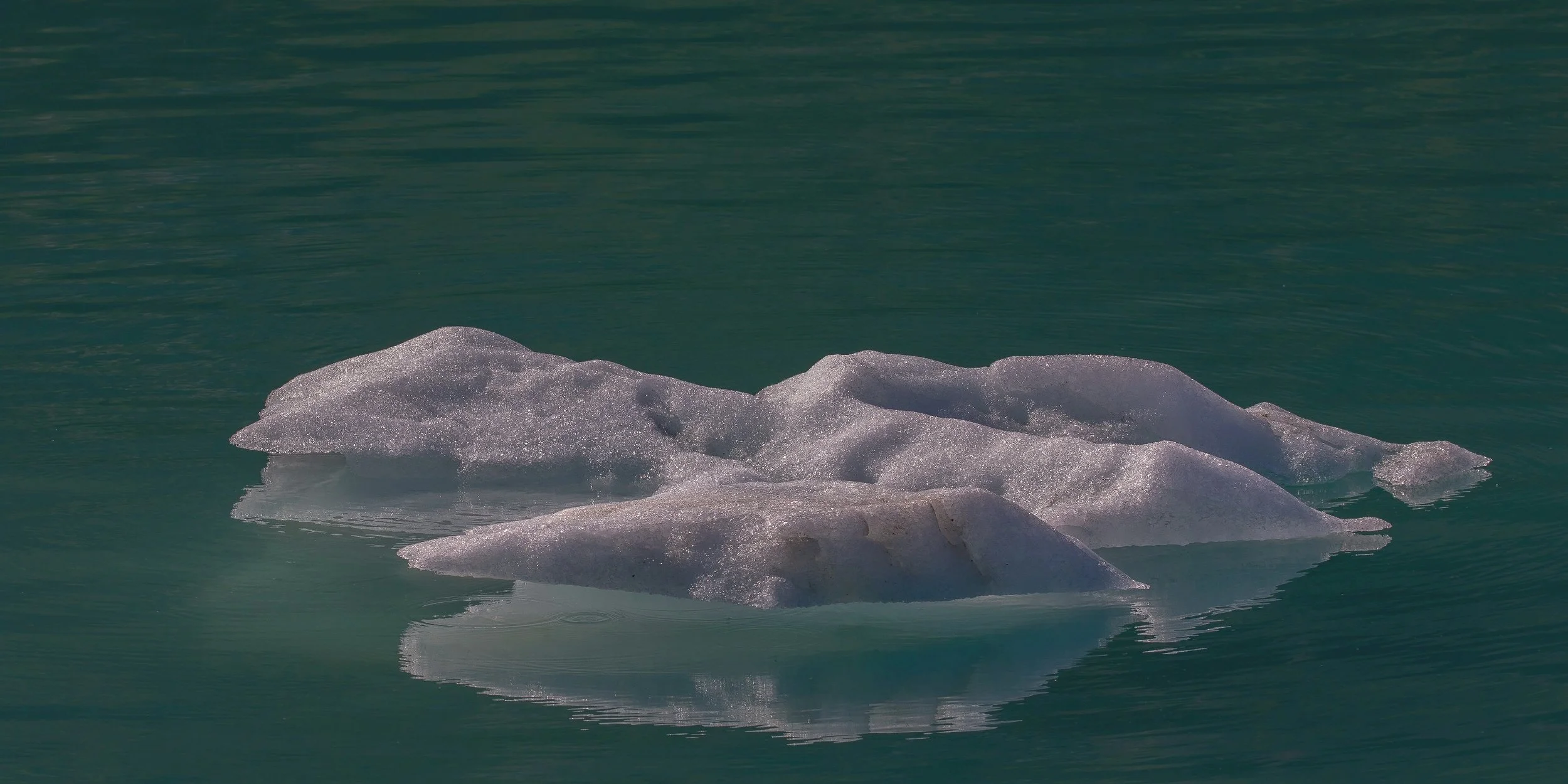 Alaska,Cruise,Glacier Bay,-304.JPG