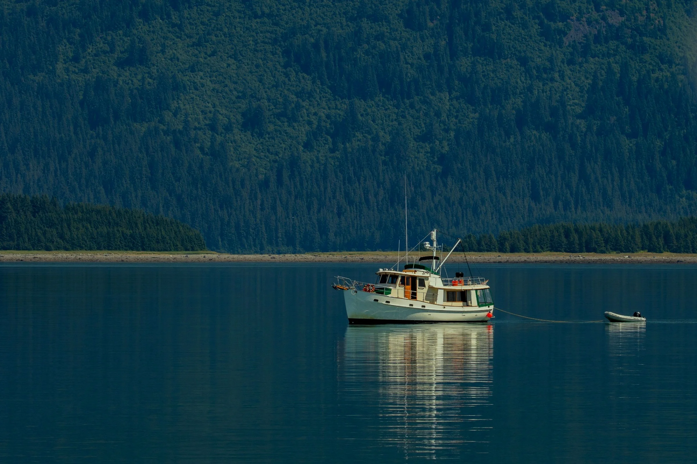 Alaska,Cruise,Glacier Bay,-471.JPG
