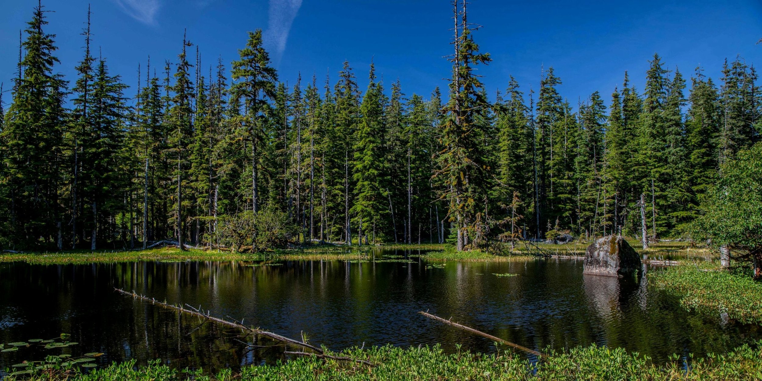 Alaska,Cruise,Glacier Bay,Bartlett Cove,-283a.JPG