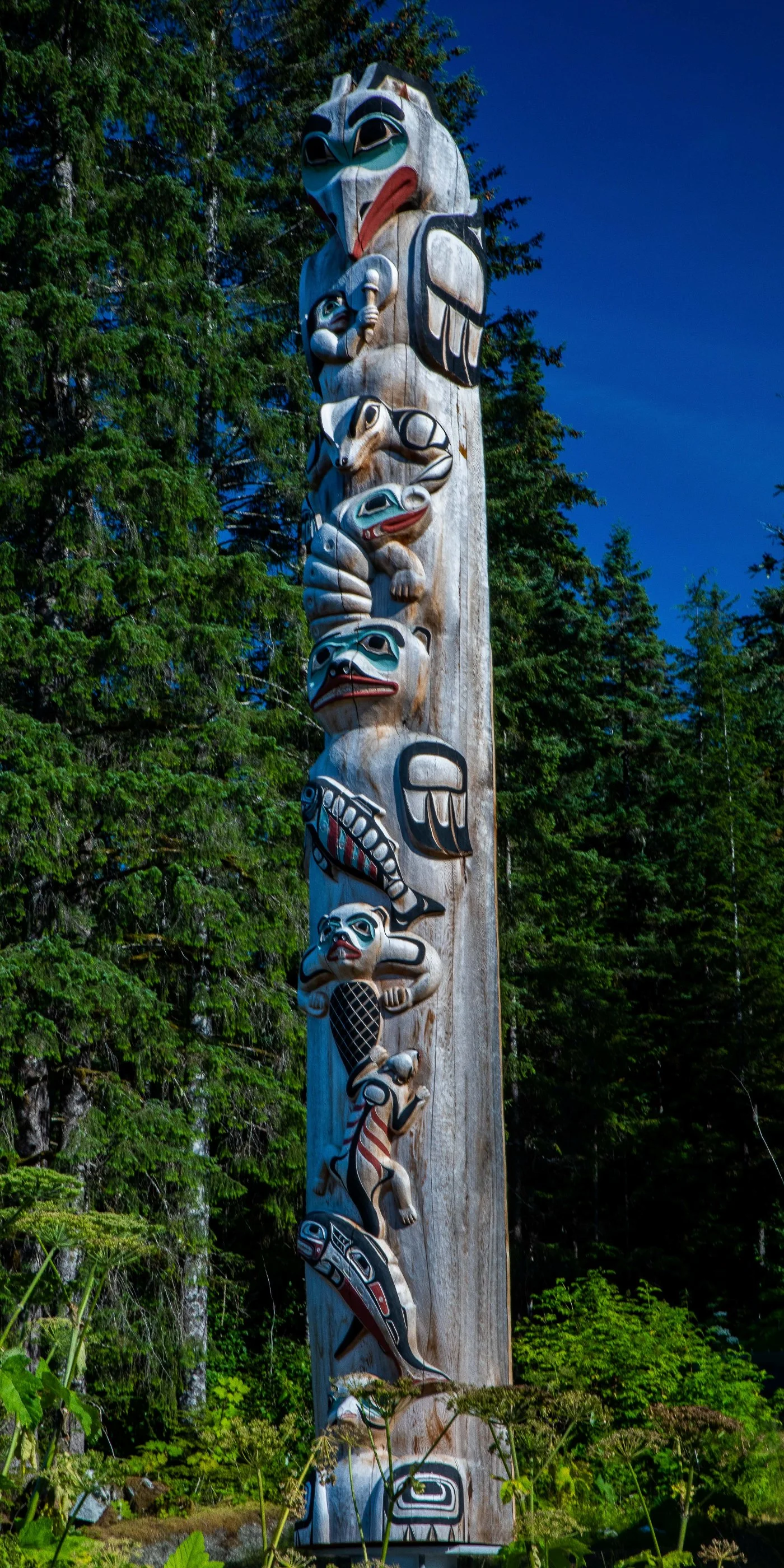 Alaska,Cruise,Glacier Bay,Bartlett Cove,-290a.JPG