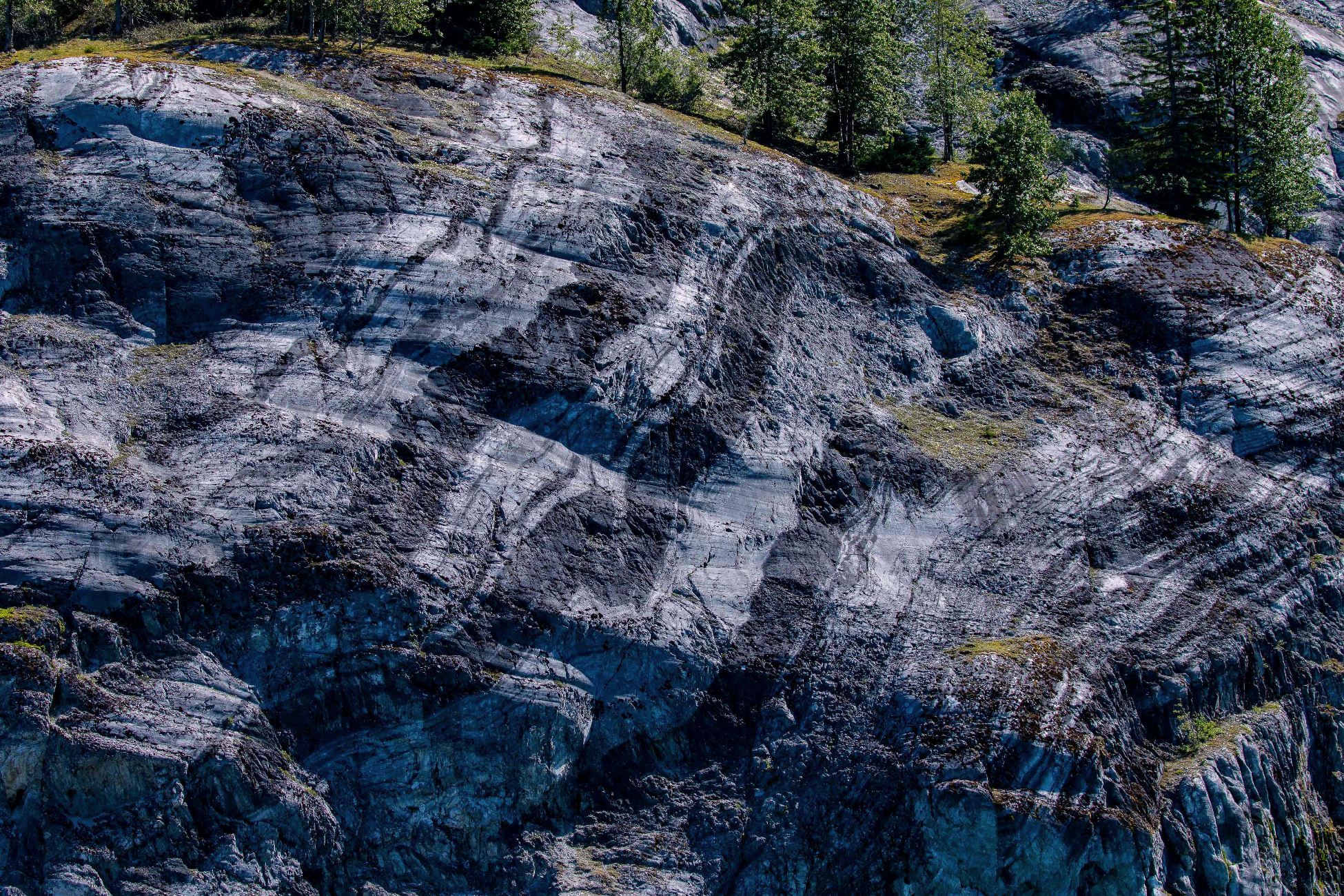 Alaska,Cruise,Glacier Bay,Goat Bluff,-399.JPG