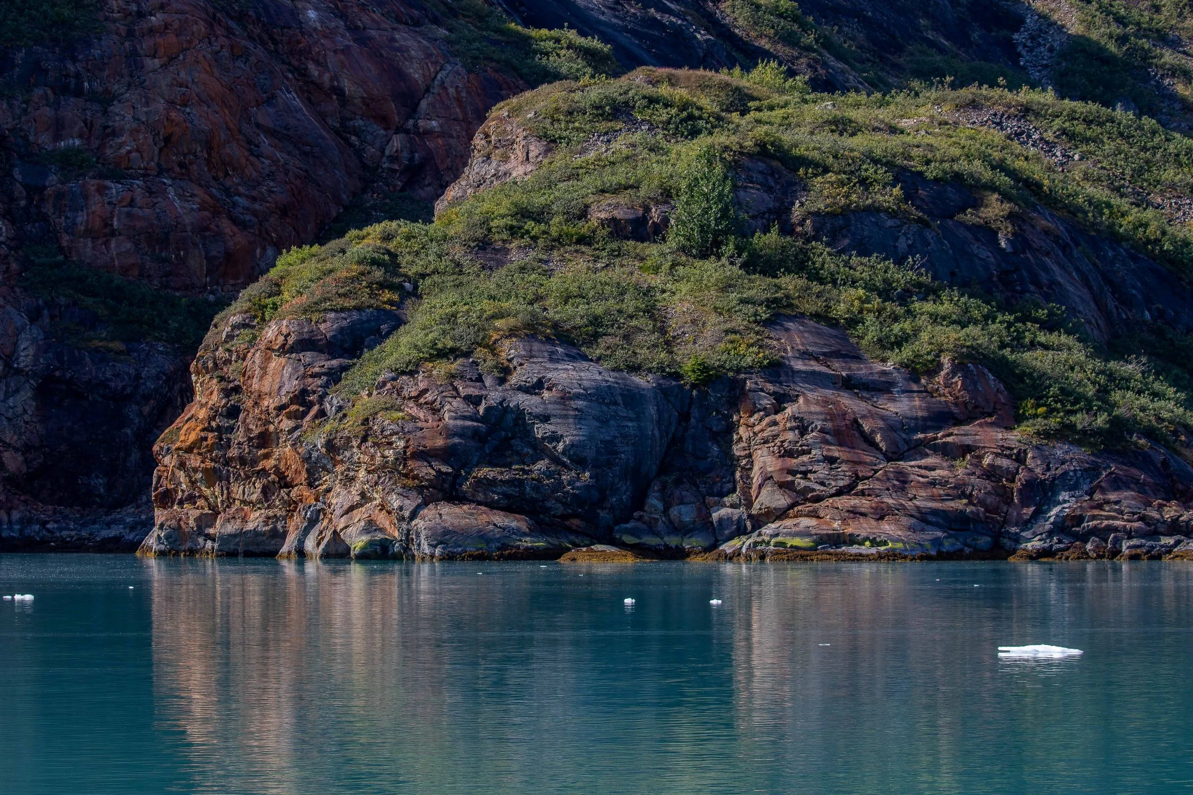 Alaska,Cruise,Glacier Bay,Jaw Point,-306.JPG