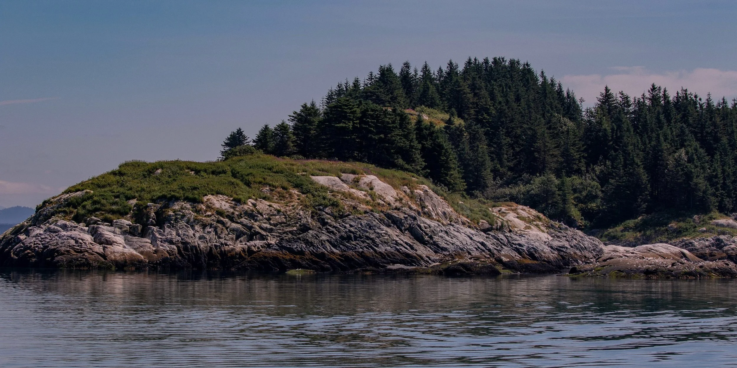 Alaska,Cruise,Glacier Bay,South Marble Is,-472.JPG