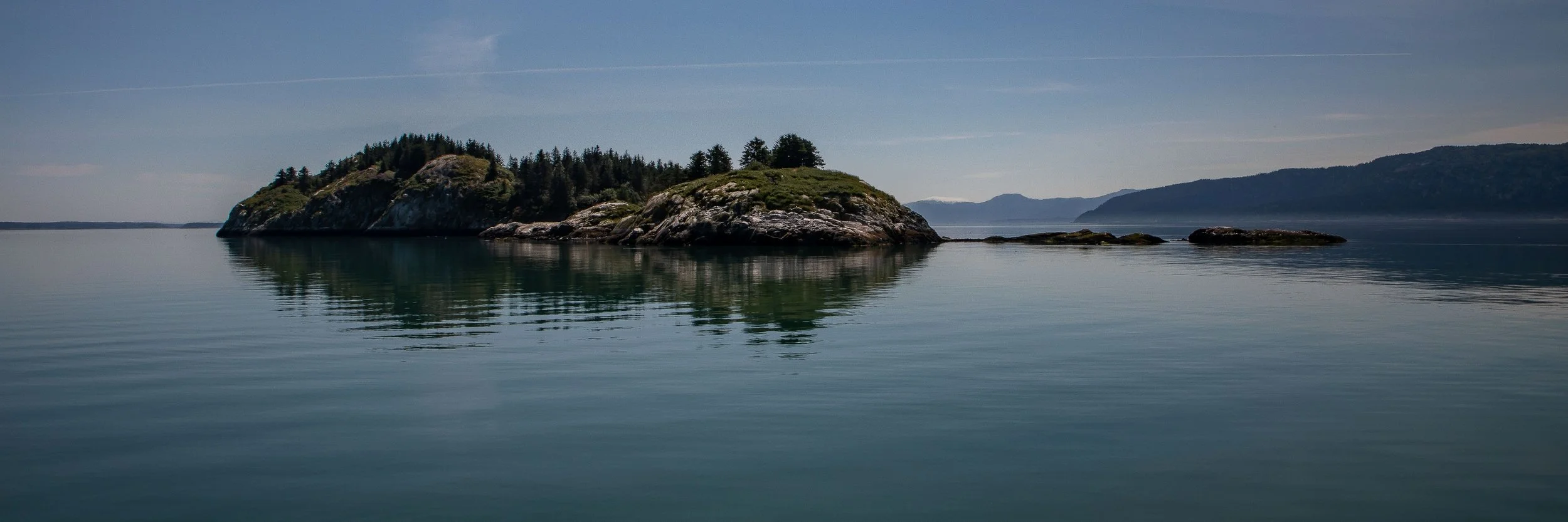 Alaska,Cruise,Glacier Bay,South Marble Island,-271a.JPG
