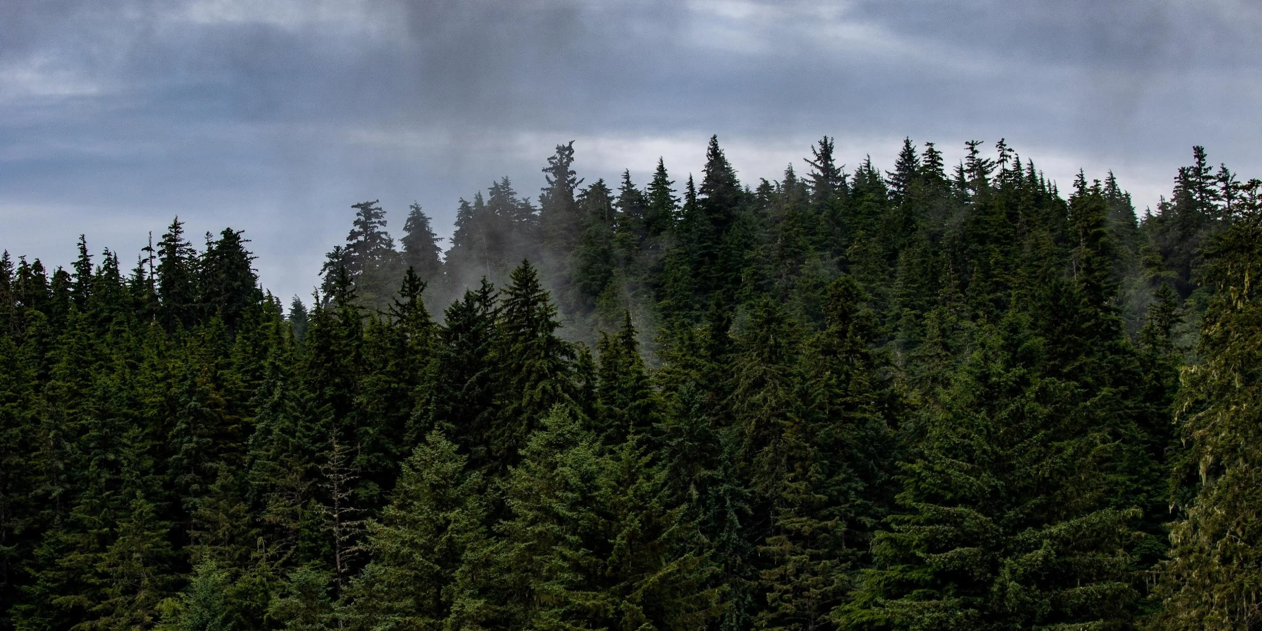 Alaska,Cruise,Keku Islands,-054.JPG