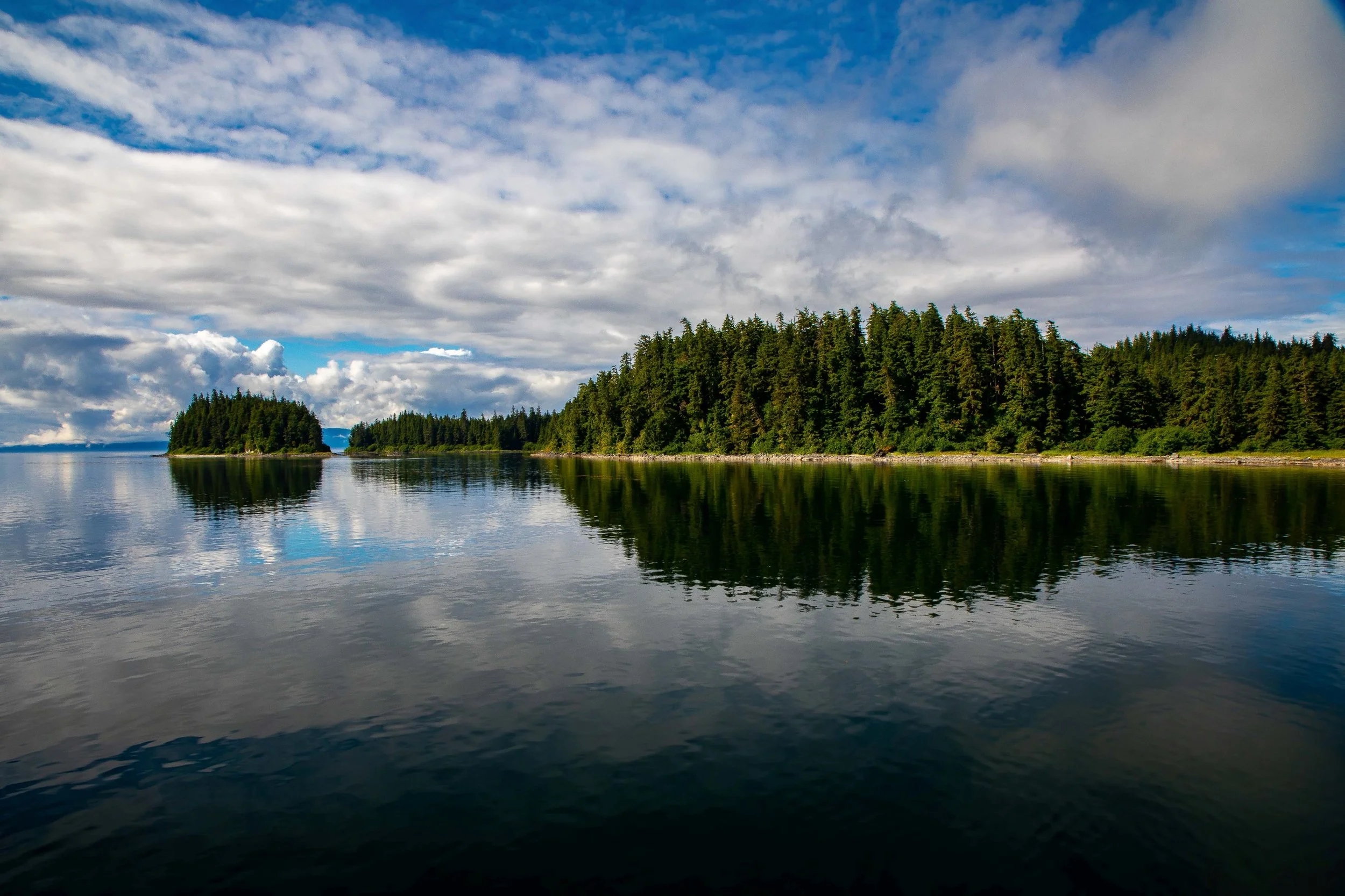 Alaska,Cruise,Keku Islands,-064a.JPG