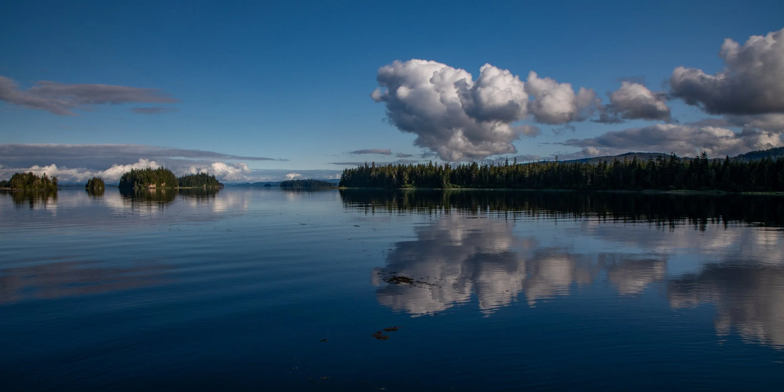 Alaska,Cruise,Keku Islands,-081a.JPG