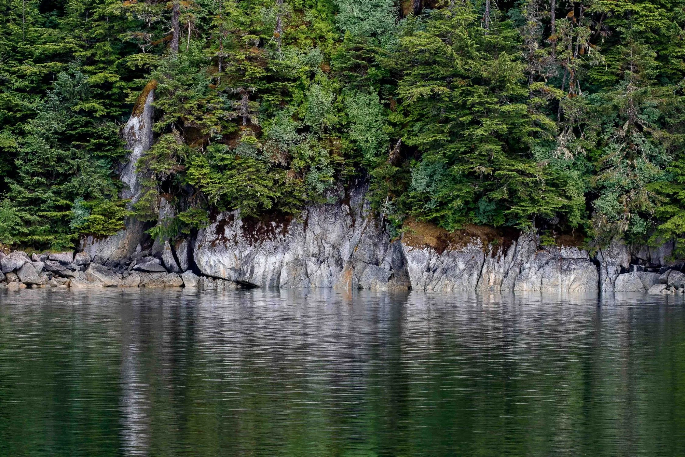 Alaska,Cruise,Seal Bay,-509.JPG