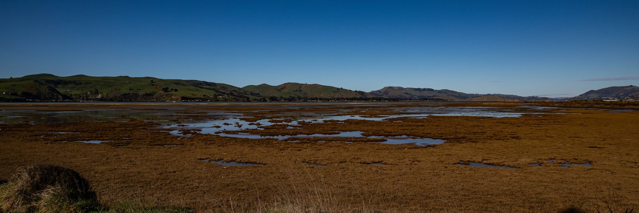 Aramoana,-066.JPG