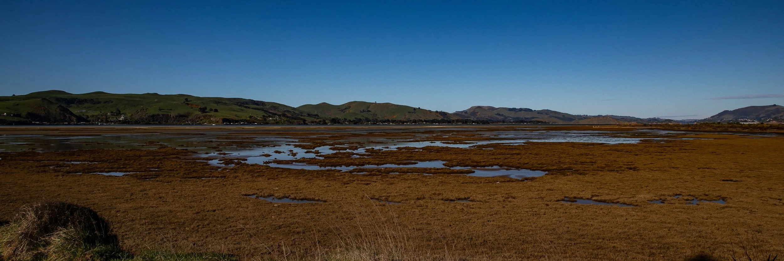 Aramoana,-066.JPG
