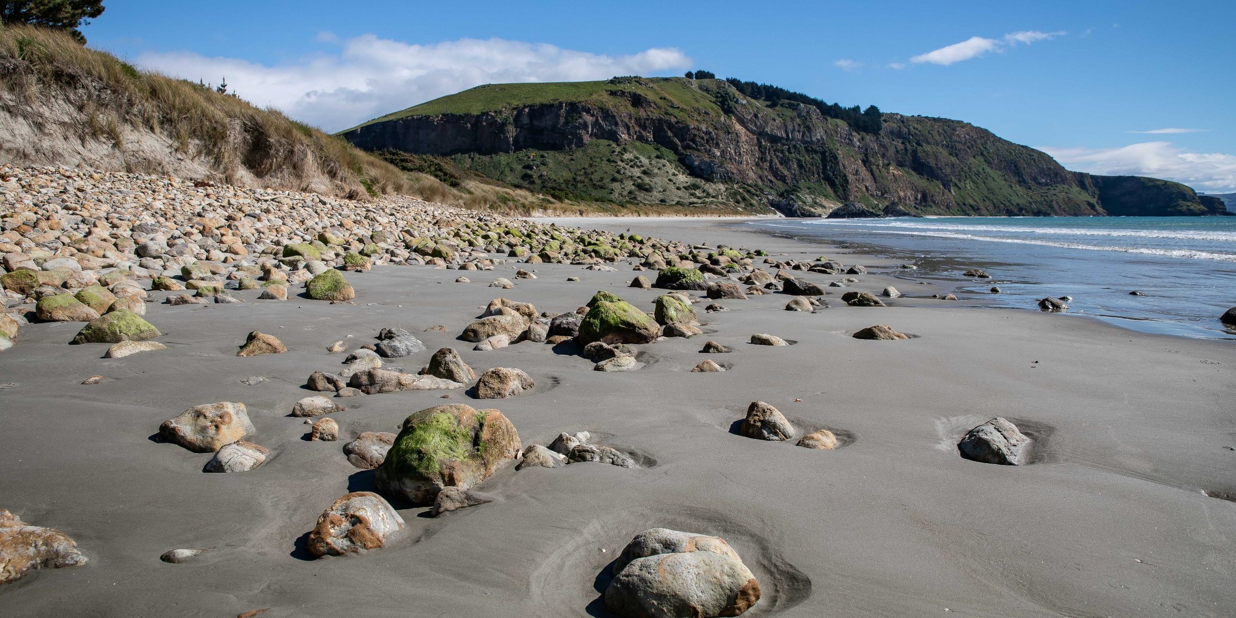 Aramoana,Spit Beach,-151.JPG