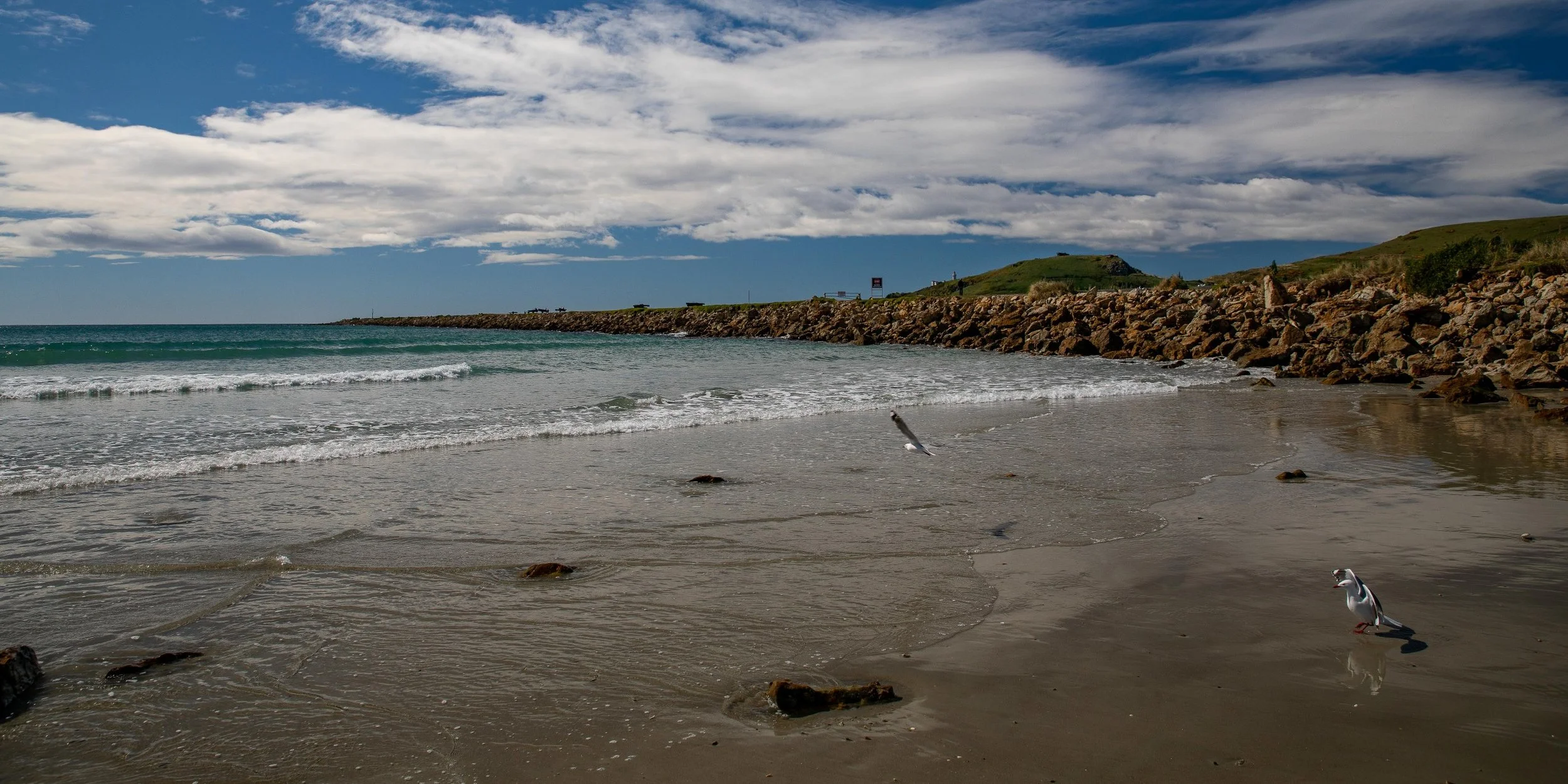 Aramoana,Spit Beach,The Mole,-147.JPG