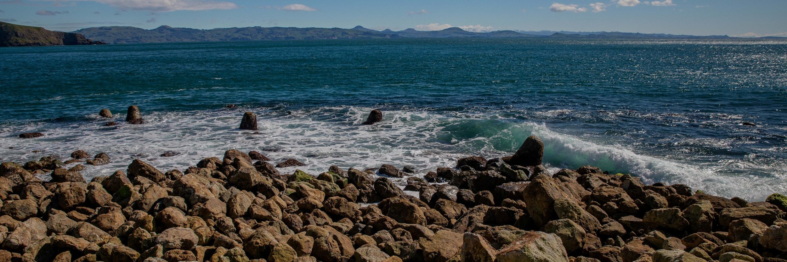 Aramoana,The Mole,-119.JPG