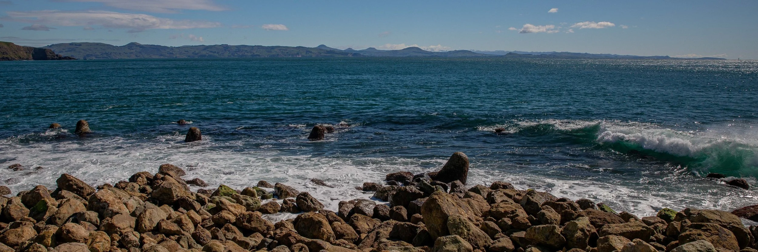 Aramoana,The Mole,-121.JPG