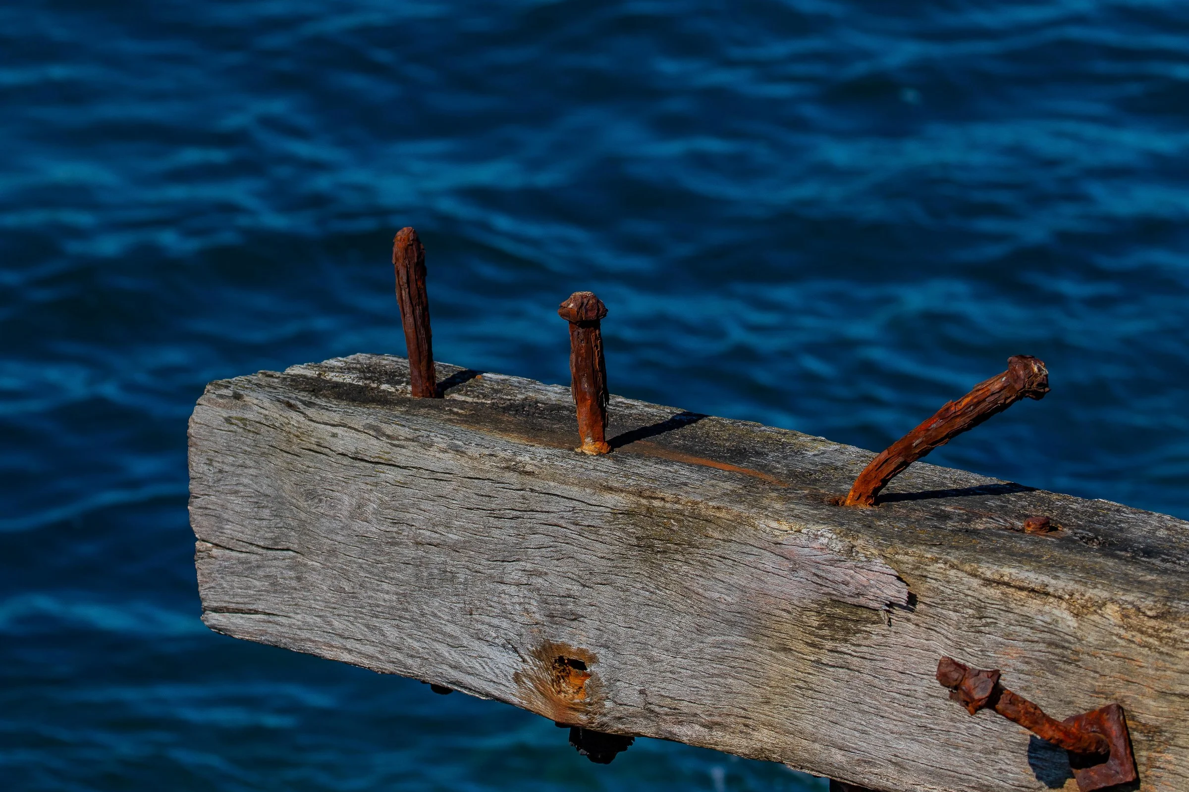 Aramoana,The Mole,-677.JPG