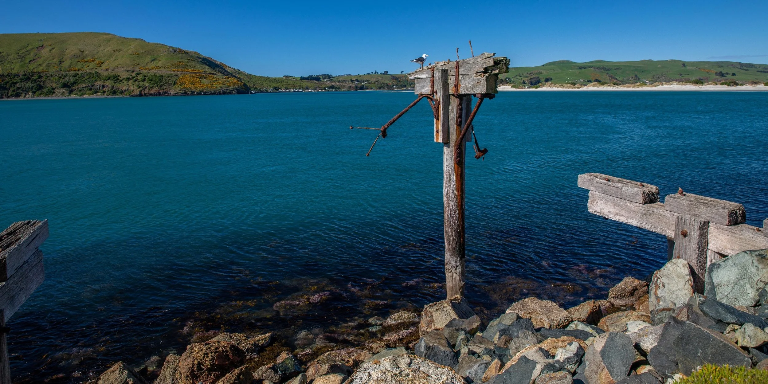 Aramoana,The Mole,Otago Peninsula,-097.JPG