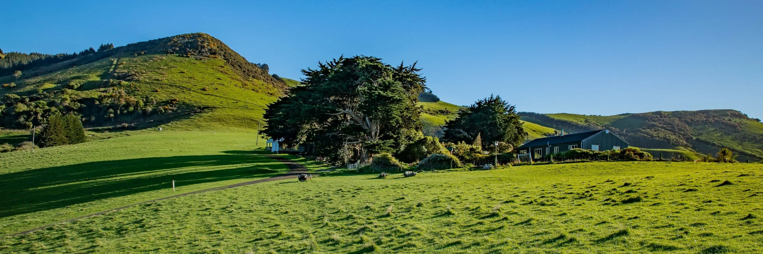 Billy Brown's,-048.JPG