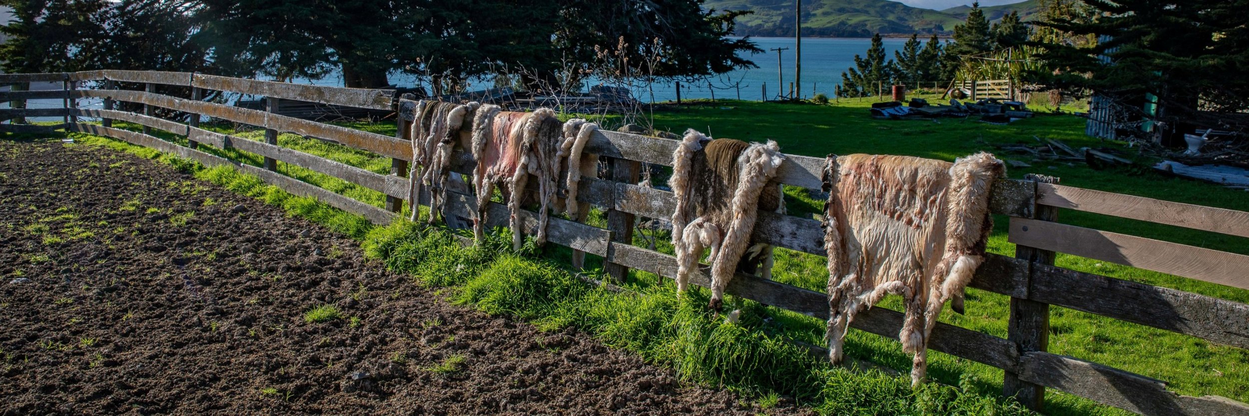 Billy Brown's,-386.JPG