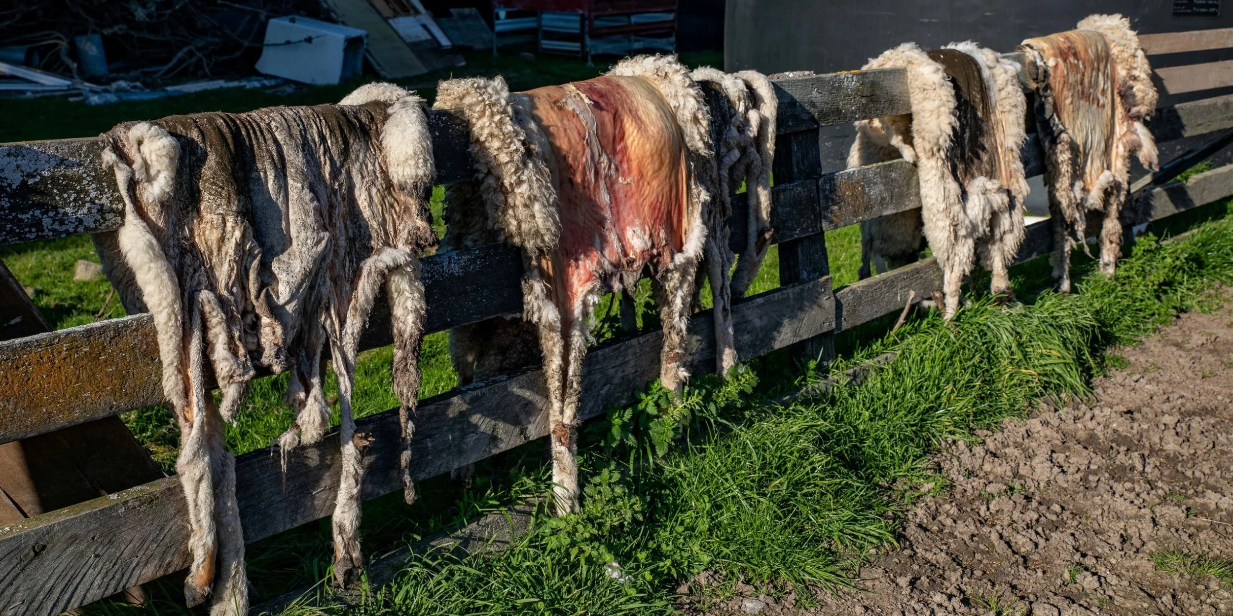 Billy Brown's,-387.JPG