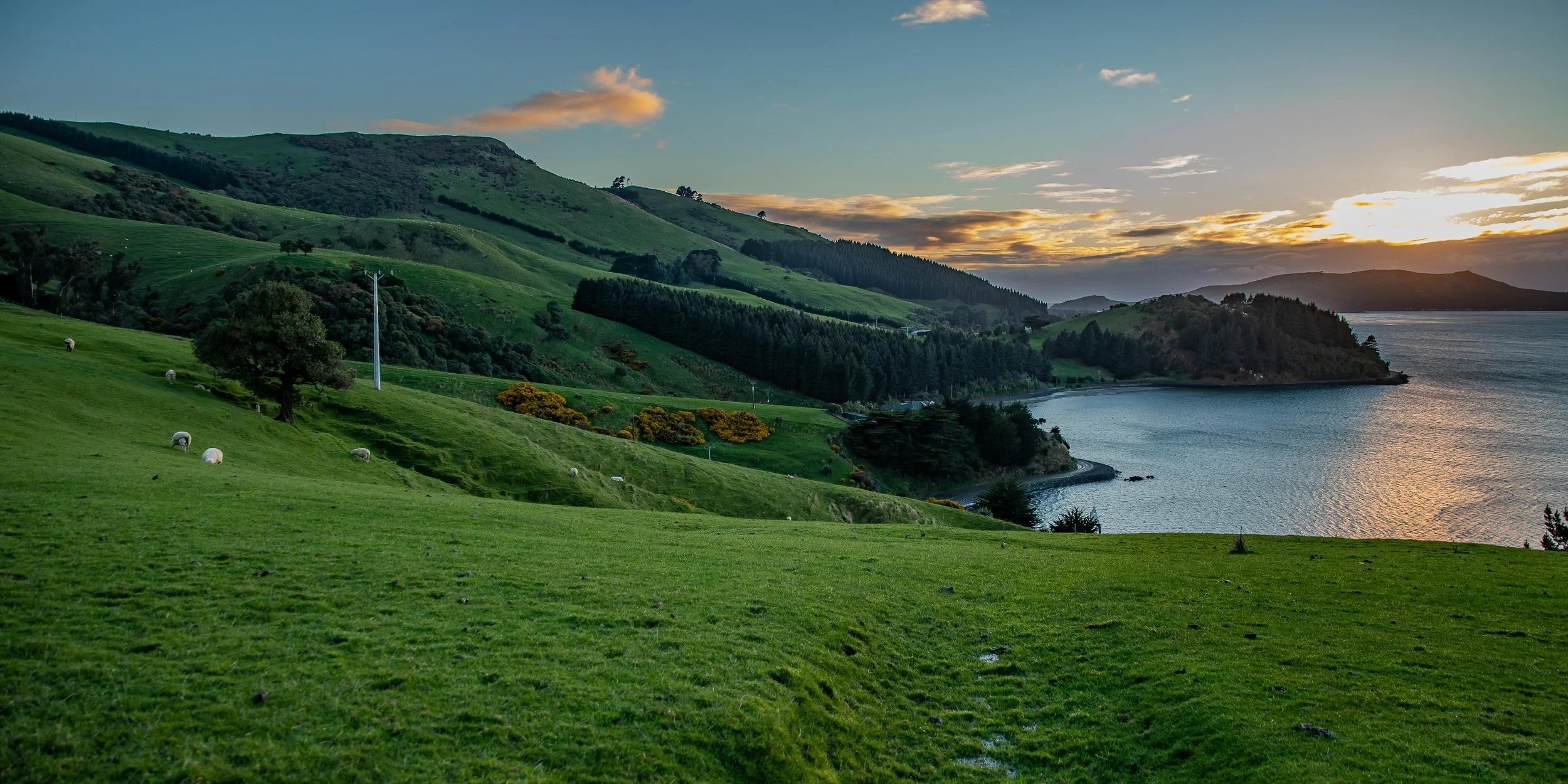 Billy Brown's,Otago Harbour,-015.JPG