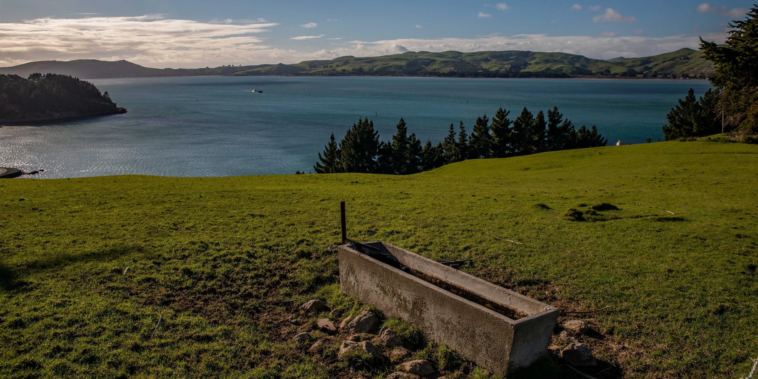 Billy Brown's,Otago Harbour,-383.JPG