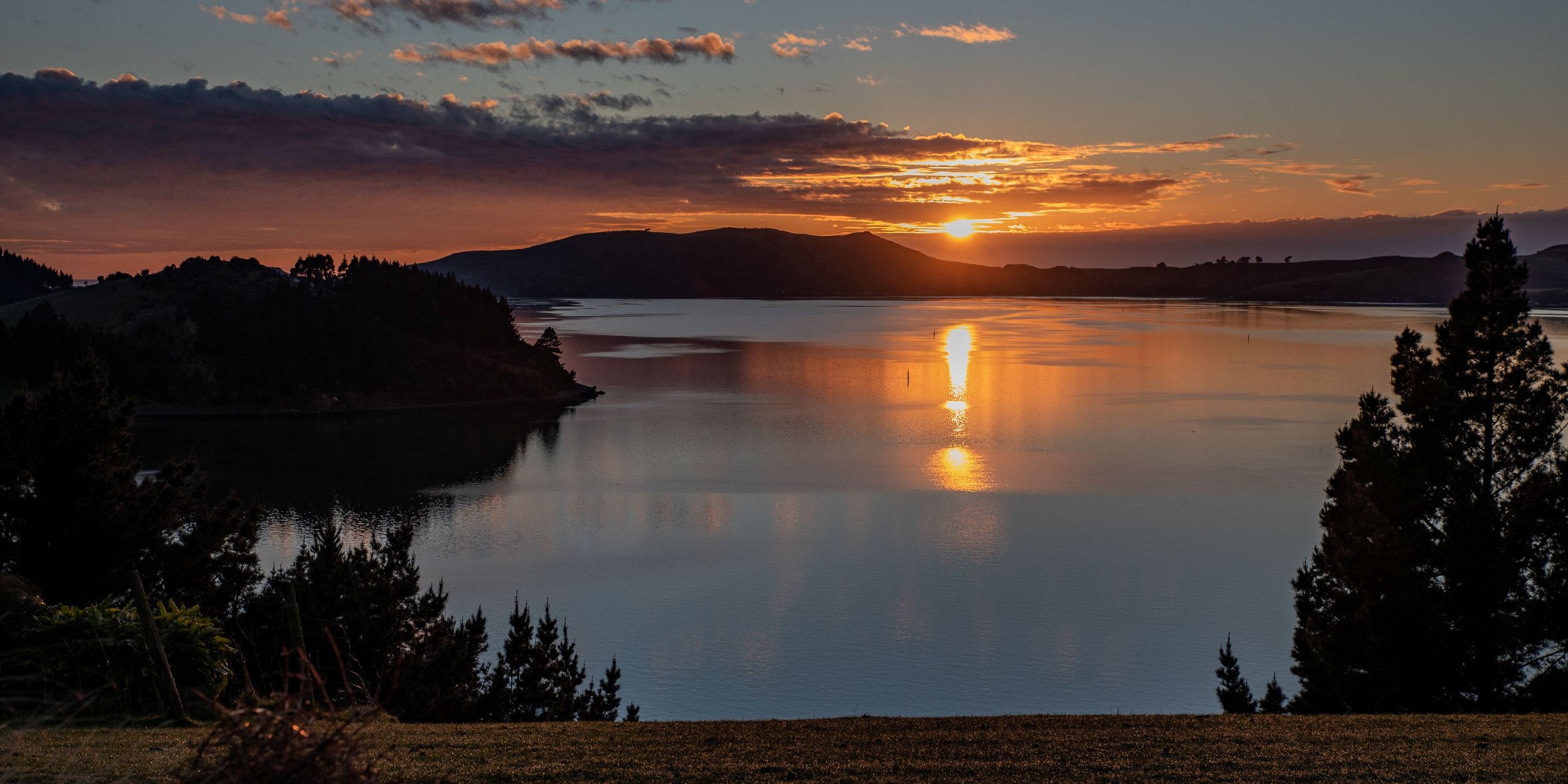 Billy Brown's,Otago Harbour,-514.JPG