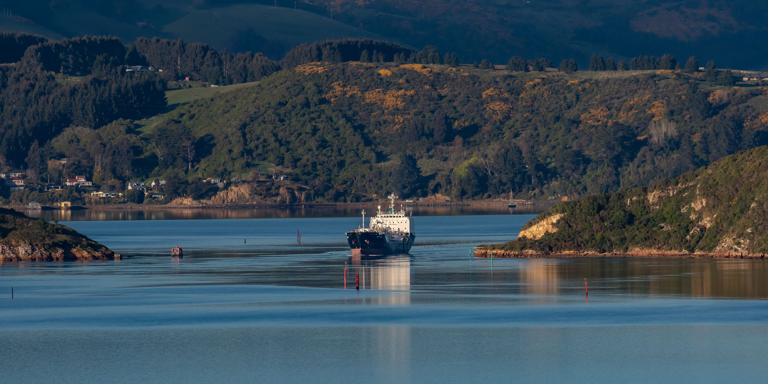 Billy Brown's,Otago Harbour,-1640.JPG