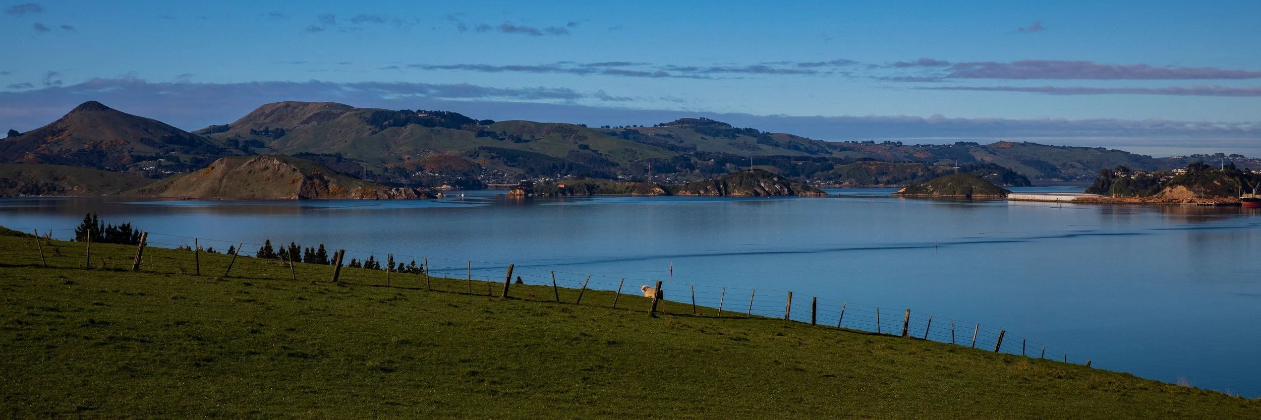 Billy Brown's,Otago Harbour,Otago Peninsula,-522.JPG