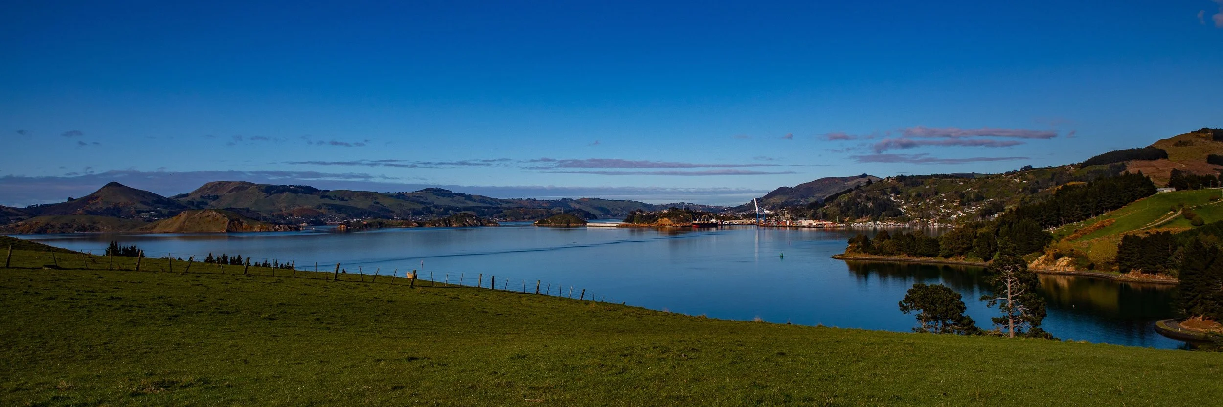 Billy Brown's,Otago Harbour,Otago Peninsula,-523.JPG