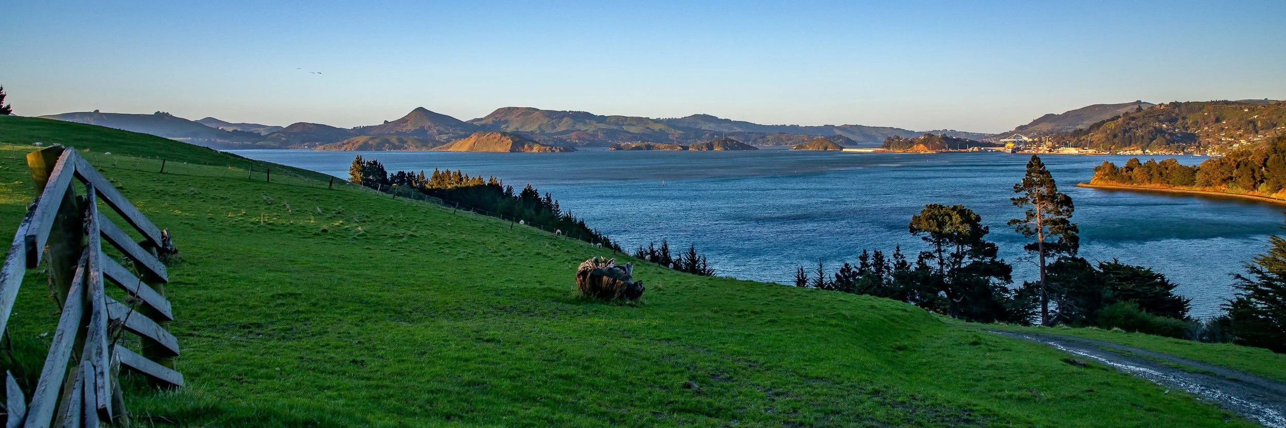 Billy Brown's,Port Chalmers,-044.JPG