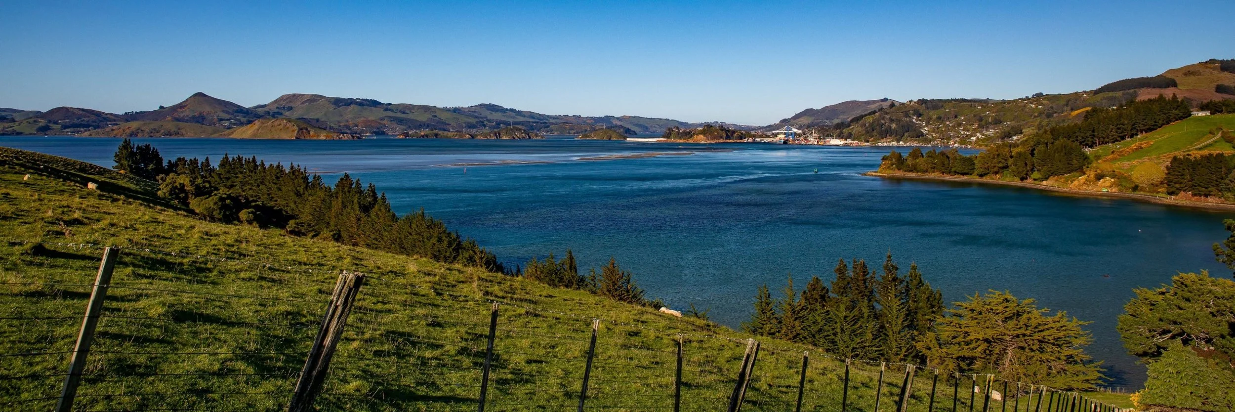 Billy Brown's,Port Chalmers,-050.JPG