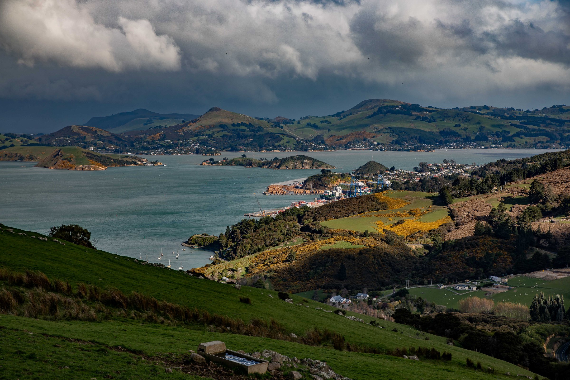 Billy Brown's,Port Chalmers,Otago Harbour,-363.JPG