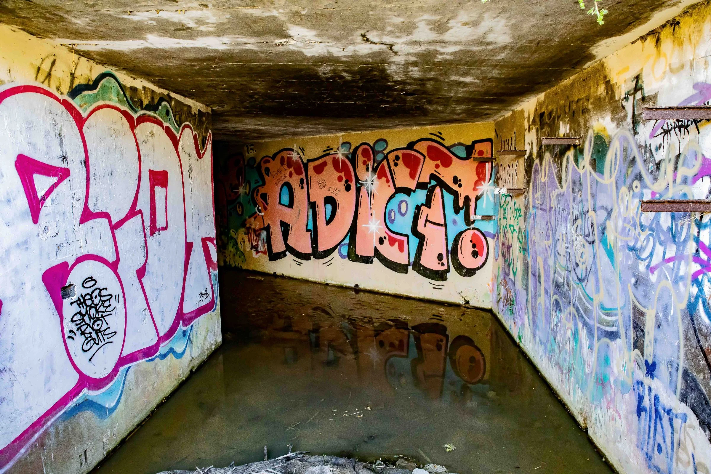 Harington Point Gun Emplacement,-557.JPG