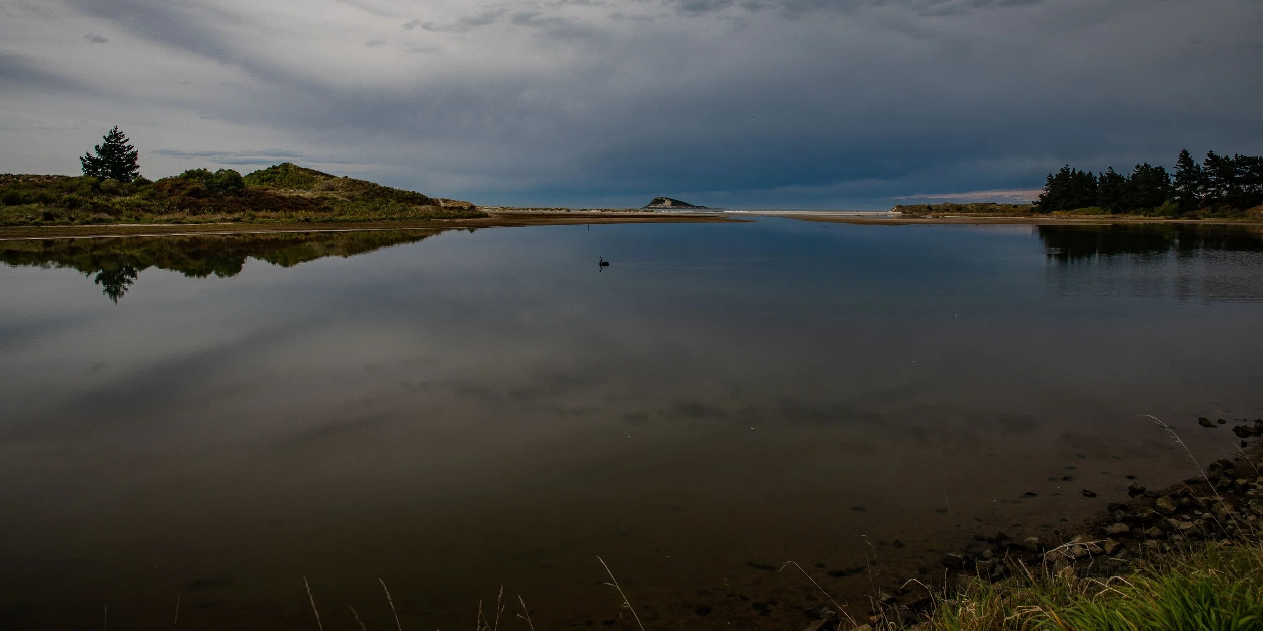 Kaikorai Lagoon,-731.JPG