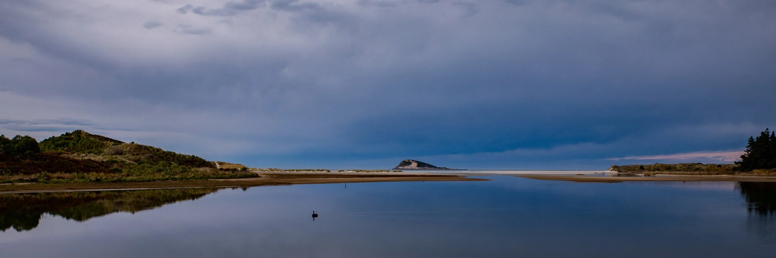 Kaikorai Lagoon,-732.JPG