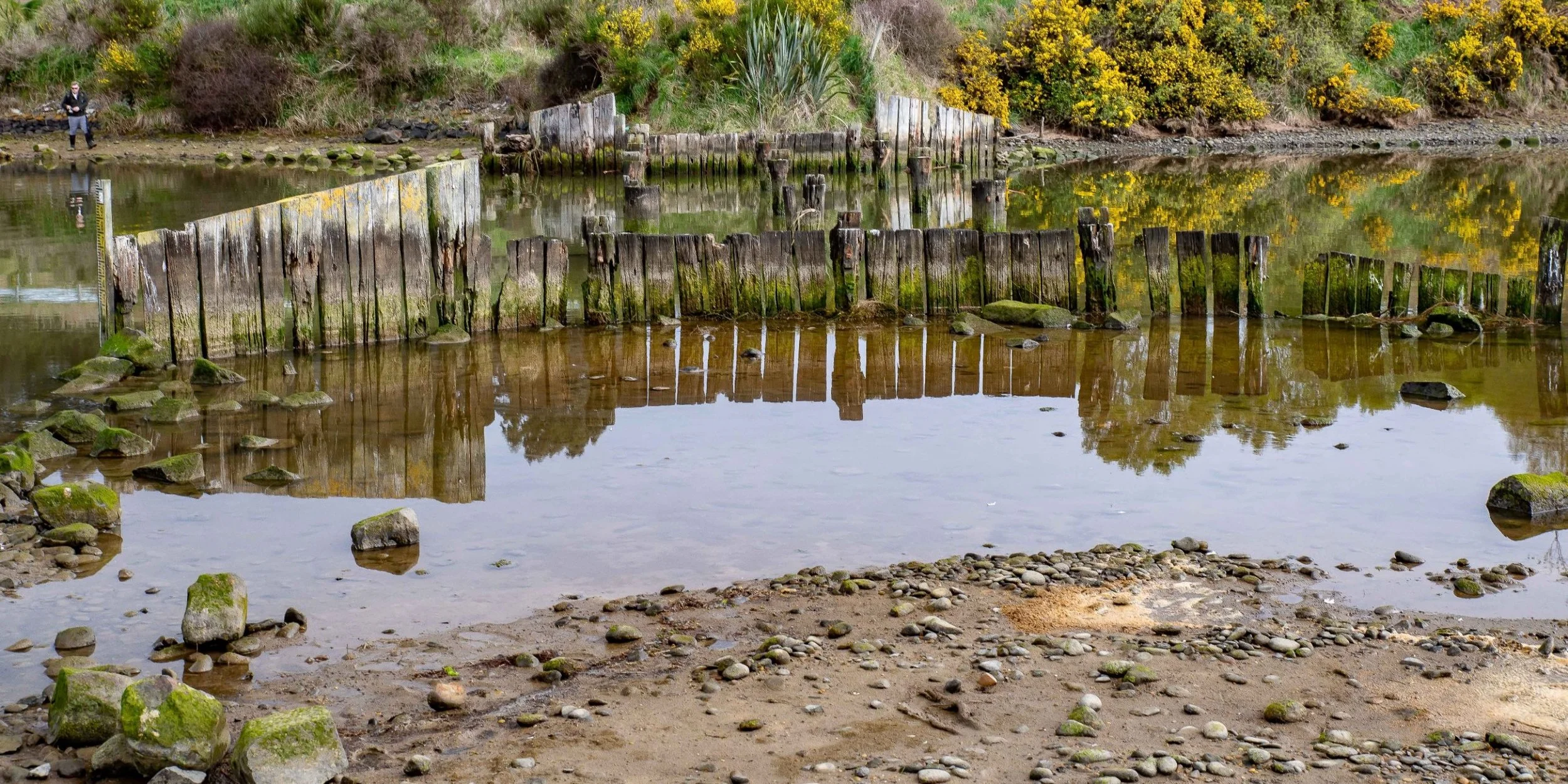 Kaikorai Lagoon,-740.JPG