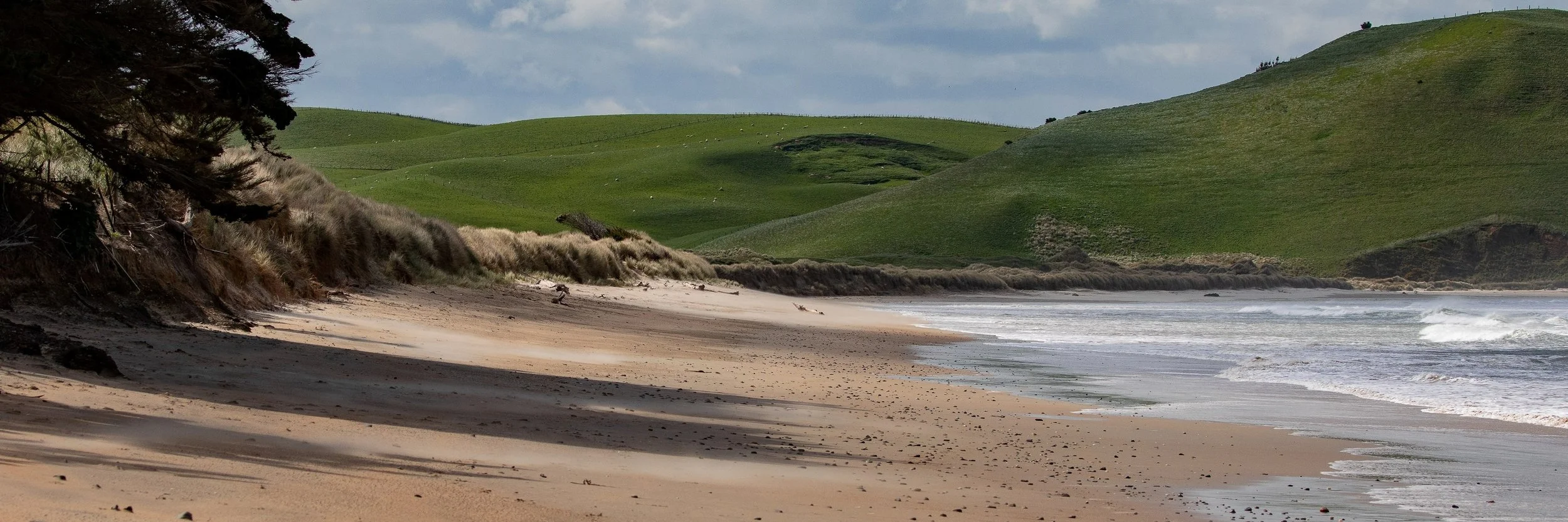 Kaitiki Beach,-1131.JPG