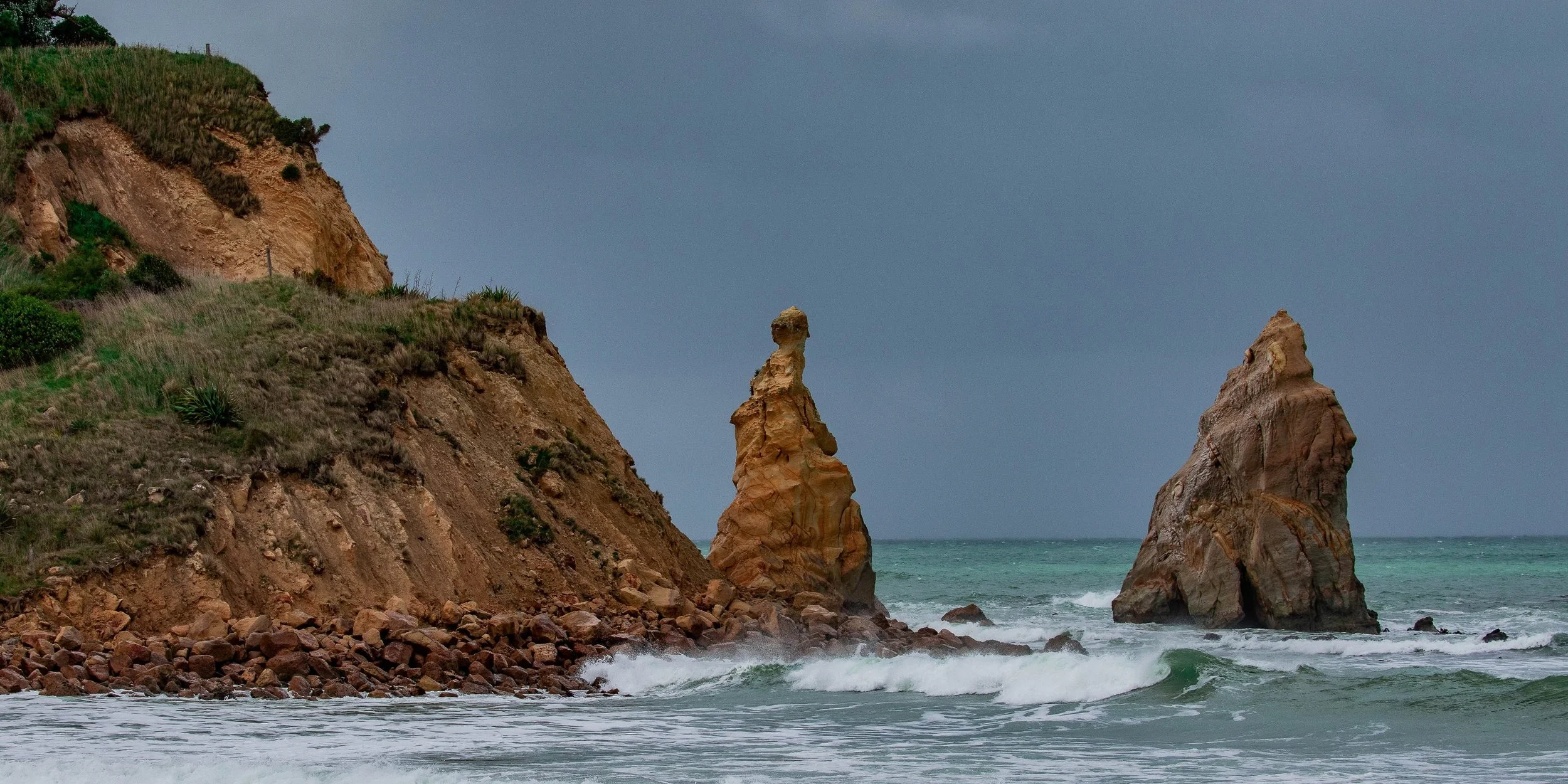 Karitane,Huriawa Peninsula,-1183.JPG