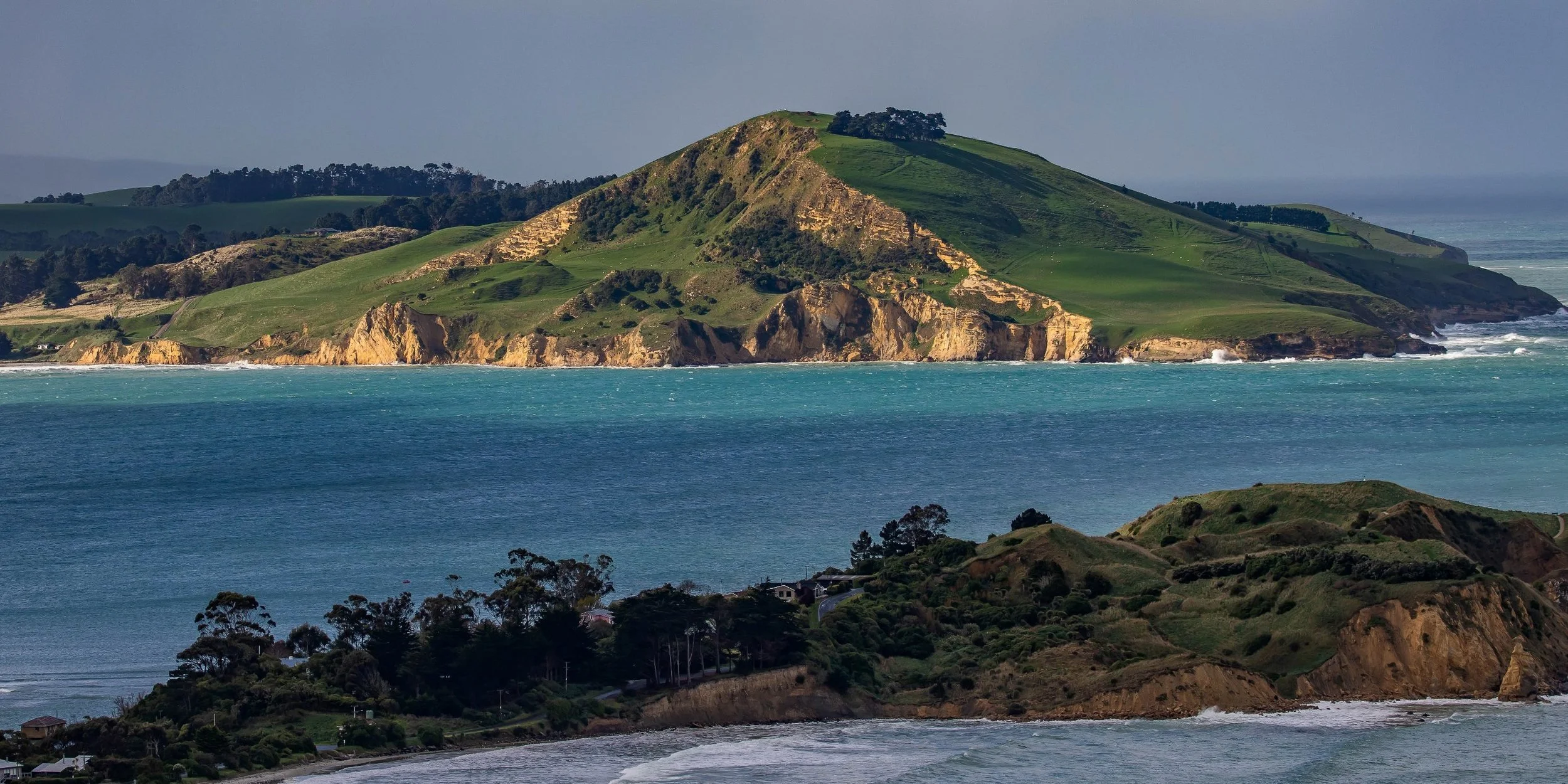 Karitane,Huriawa Peninsula,-1213.JPG
