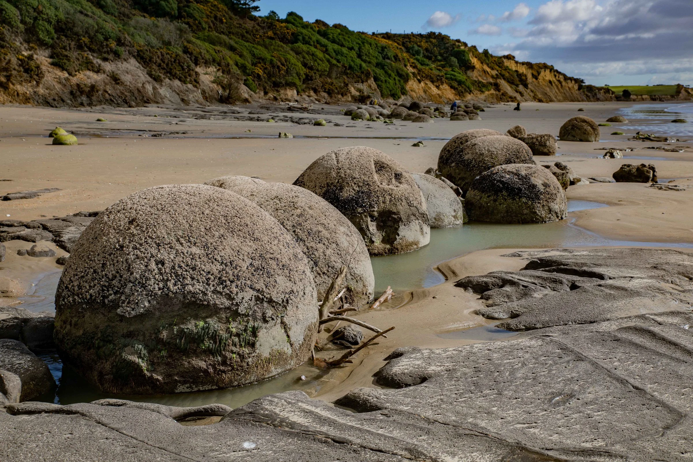 Moeraki,-216.JPG
