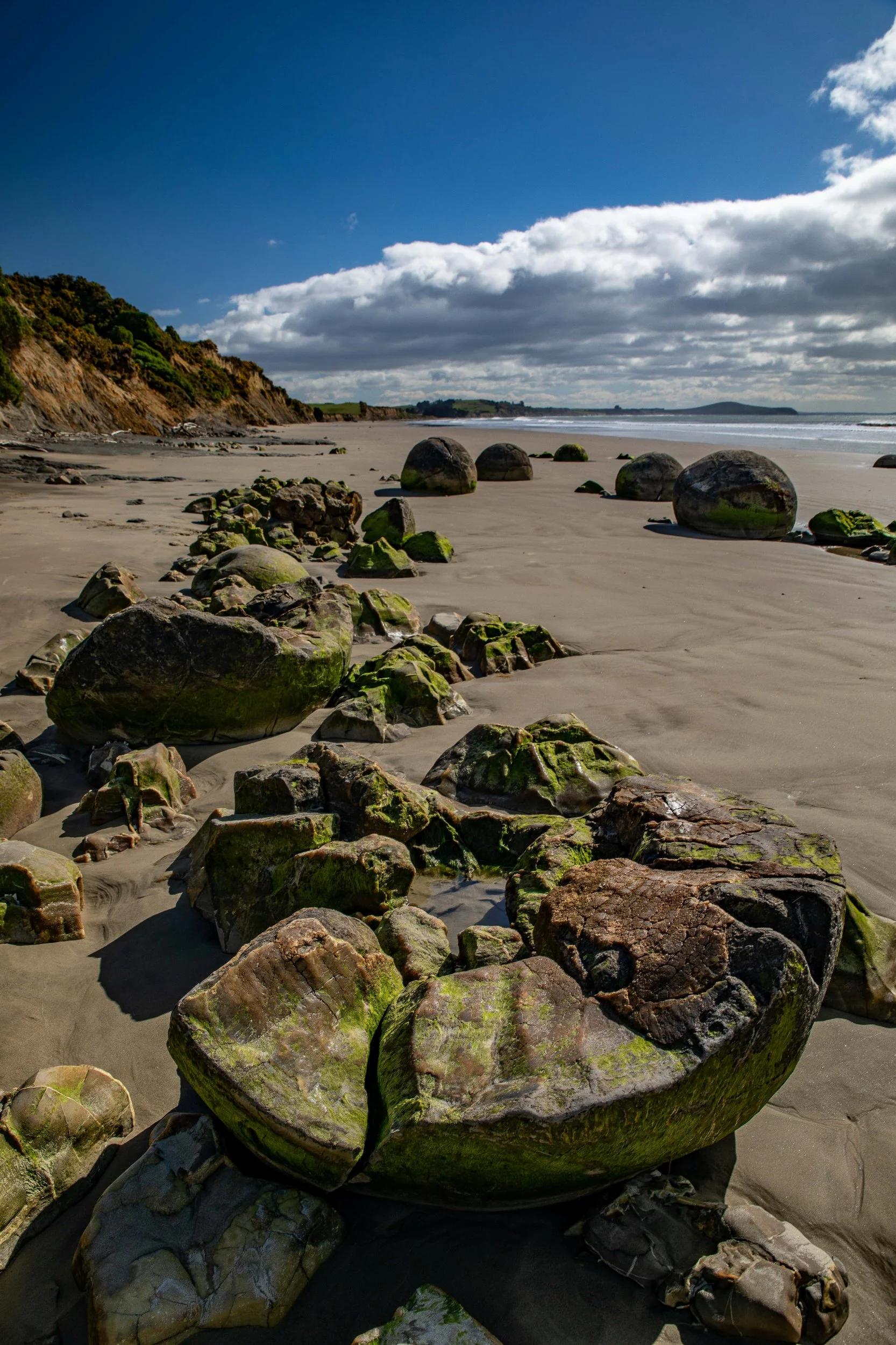 Moeraki,-238.JPG
